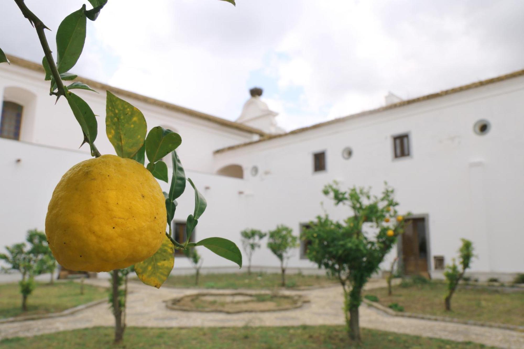 Affittacamere Convento Da Orada - Monsaraz Esterno foto